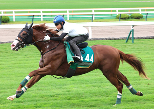 【札幌２歳Ｓ】有力馬ノヴァヴェローチェが回避　左後肢ハ行が判明　上村調教師「軽いものであってほしい」