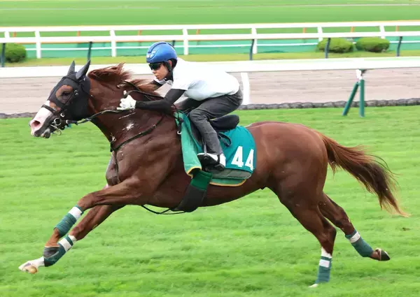 【札幌２歳Ｓ】有力馬ノヴァヴェローチェが回避　左後肢ハ行が判明　上村調教師「軽いものであってほしい」