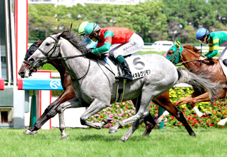 【阪神５Ｒ】芦毛のゴールドシップ産駒マイネルグリモアがまくってデビュー勝ち　国分恭介騎手「まだまだ奥がある馬」