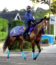 【注目馬動向】昨年の最優秀２歳牡馬カヴァレリッツォは復帰予定の富士Ｓへの登録見送る