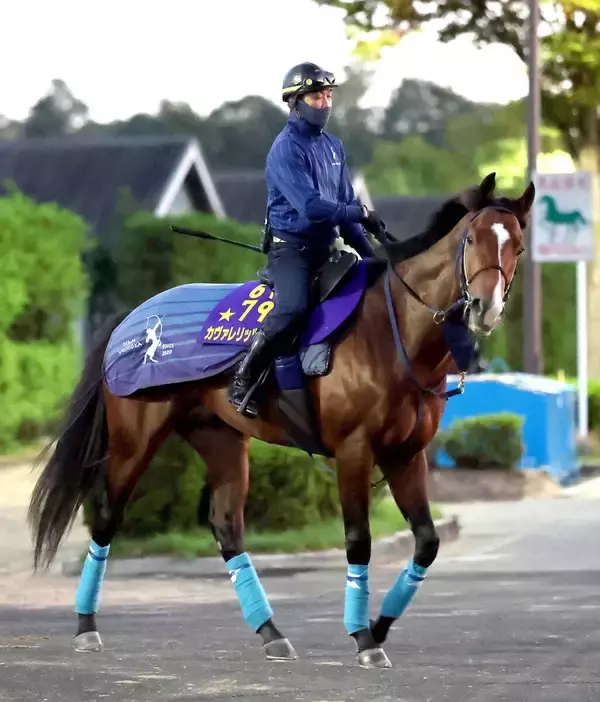 【注目馬動向】昨年の最優秀２歳牡馬カヴァレリッツォは復帰予定の富士Ｓへの登録見送る