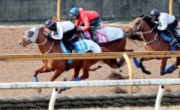 【東京新聞杯１週前】連覇がかかるウォーターリヒトは３頭併せで抜群の伸び　石橋調教師「予定通り来ている」