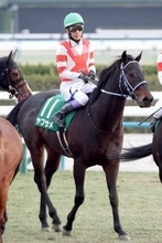 【注目馬動向】シルクロードＳ５着のヤブサメは京王杯ＳＣへ　佐賀記念除外のムルソーは坂井瑠星騎手で仁川Ｓへ