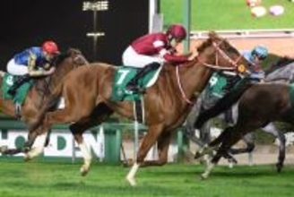 【ネオムターフＣ】シンエンペラーは日本馬で最高の４着　矢作芳人調教師「内枠があだになった」　