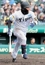 【阪神】前日１軍合流の木浪聖也、３打数３安打で存在感「まだ本当に始まってもいない」「アピールし続ける立場」