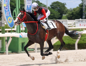 【園田競馬】吉村智洋騎手が２Ｒで地方通算３９００勝を達成「今年中には４０００勝を」