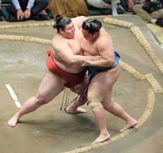 【７日目の見所】熱海富士にとっては特別な一番　 安青錦には絶対に負けないと気合満点