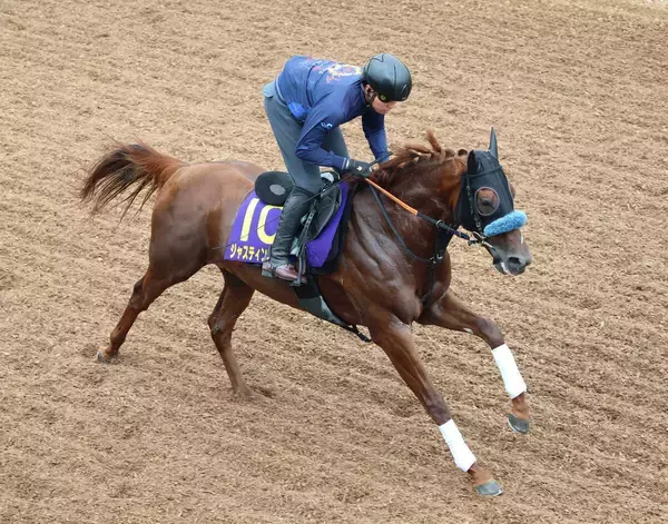 【菊花賞】最終追い切りに備え坂路で軽快　ジャスティンシカゴに宮田調教師「春先からこんなに変わるのかという感じ」