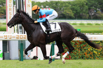 【注目馬動向】キングリアは東京スポーツ杯２歳Ｓへ　母に重賞２勝リアアメリアを持つ良血馬