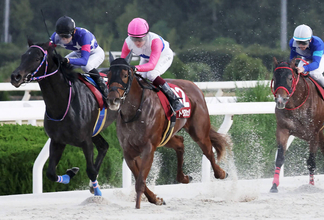 【注目馬動向】兵庫ジュニアグランプリＶのトウカイマシェリは年内休養　３着のローズカリスは阪神ＪＦで芝に再挑戦