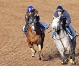 【金鯱賞１週前】「反応と動きが物足りなかった感じ」アーバンシックはレースまでに上積み目指す