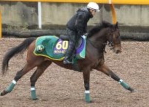 【大阪杯】デビットバローズで３連覇かかる上村調教師＆ロードカナロア産駒「一発がないかなと思っている」