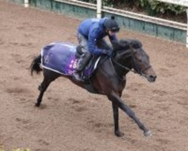 【注目馬動向】香港遠征回避のミュージアムマイルは宝塚記念へ　秋春グランプリ連覇狙う