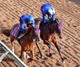 【ヴィクトリアM・三戸が見た】併せがミソ　２冠牝馬エンブロイダリー絶品の動き「イレ込むことなく息遣いもよかったです」