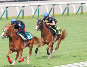 今週は北の大地でユタカＶＳスーパーユタカが熱い！　通算５０００勝へあと４のレジェンド「向こうはスーパーがついていますから（笑）」７月５日の函館５Ｒ・２歳新馬戦