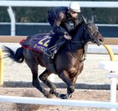 【フェブラリーＳ】ロードクロンヌはＣＷコースで余力十分の動き　横山和生騎手はさらなる上昇を確信