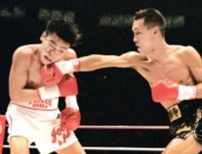 ５・２尚弥ｖｓ中谷　東京ドーム決戦！　過去の世界戦日本人対決は激闘　辰吉―薬師寺、畑山―坂本など