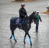 「日曜中山競馬場の注目激走馬…中山１１Ｒ美浦ステークス」の画像1