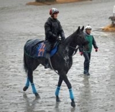 日曜中山競馬場の注目激走馬…中山１１Ｒ美浦ステークス