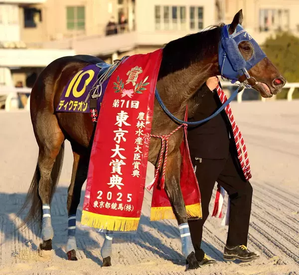 「【川崎記念】１着賞金１億円　東京大賞典Ｖのディクテオンは７枠８番　カゼノランナーは３枠３番　枠順確定」の画像