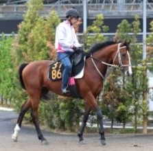 【注目馬動向】ニュージーランドＴ２着のロデオドライブは優先出走権を獲得したＮＨＫマイルＣへ