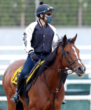 【福島牝馬Ｓ】悲願の重賞制覇へパラディレーヌは２枠３番　連対率１０割ジョイフルニュースは７枠１４番　枠順決定