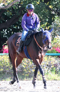 【羽田盃】フィンガーは京浜盃２着のリベンジへ舞台替わり歓迎　田中博調教師「この距離の方がいい」