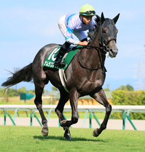 【中京記念】まさか…３番人気ナムラコスモスはブービー１５着　田口貫太騎手はＪＲＡ重賞初Ｖならず