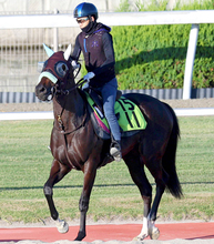 【注目馬動向】中京２歳Ｓを快勝したジーティーマイカは阪神ＪＦが目標　前川調教師「もともとマイルで…」