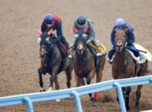 【阪神ＪＦ・１週前】アルテミスＳ２着ミツカネベネラは追うごとに上昇　津村明秀騎手「動きとしては満足」