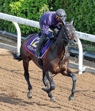 【注目馬動向】有馬記念に登録のヘデントール　基本的には来年からの始動を視野に