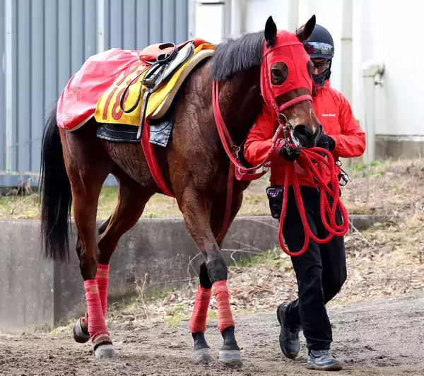 【オーシャンＳ・三戸の特注馬】中山開幕週の馬場でスピードを生かす　ルージュラナキラが強敵相手に一発狙う