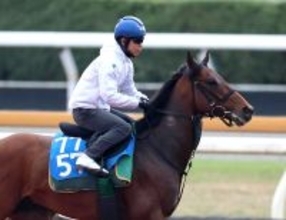 【読売マイラーズＣ】本格化したベラジオボンドが３連勝狙う　陣営「強い相手と戦う方が能力を出せると思います」