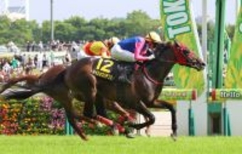 【注目馬動向】プリンシパルＳ勝ちのメイショウハチコウ　引き続きディー騎手で日本ダービー参戦