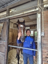 武豊騎手と安田記念Ｖのシックスペンスは元気いっぱいに飼い葉をモグモグ　田端厩務員「今までにないくらい興奮」
