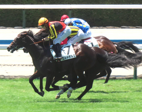 【小倉５Ｒ・２歳新馬】クロワデュノールの「キタサンブラック産駒×斉藤崇厩舎」から大物候補　エルドボルグ勝ち切る