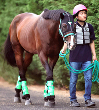 【関屋記念・馬トク最終ジャッジ】エルトンバローズは買い？死角あり？　おすすめ指数は...