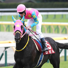 【２２日の注目・中山１０Ｒ】ディープインパクトの偉大な血を引くのはこの馬だけ…　ロゼルがメモリアルレースで一発を狙う