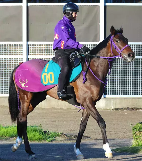 【注目馬動向】エフフォーリア産駒のチェスティーノは予定していた百日草特別を回避　