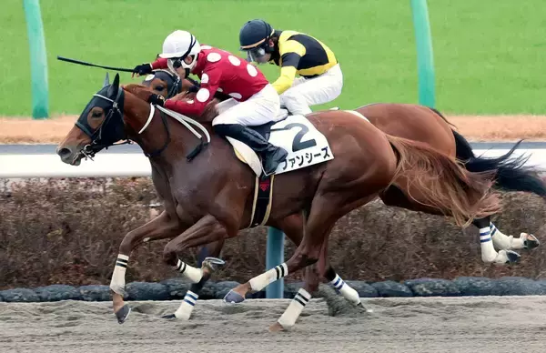 【中山６Ｒ・２歳新馬】ファンシーズが先団から抜け出す　丹内祐次騎手「競馬が上手」