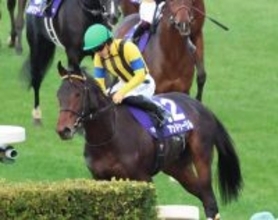 【ホープフルＳ】１番人気アンドゥーリルは道中で押し上げるも７着　川田将雅騎手「現状この距離は長いですね」