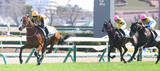 「【中山７Ｒ・３歳１勝クラス】ロデオドライブが１分３２秒１の好タイムで３馬身差完勝　津村騎手「上でも十分やれる」」の画像1