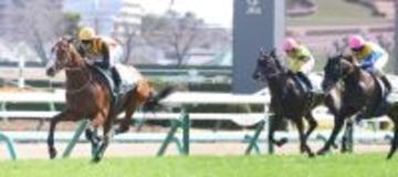 【中山７Ｒ・３歳１勝クラス】ロデオドライブが１分３２秒１の好タイムで３馬身差完勝　津村騎手「上でも十分やれる」