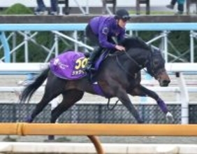 【大阪杯】“ＳＨＯ　ＴＩＭＥ”の予感！ＤＰコース追いは友道厩舎流「順調」の証し　ショウヘイに「十分チャンスはある」