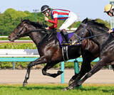 「【注目馬動向】皐月賞馬ロブチェンは日本ダービーへ　エリカエクスプレスは引き続き武豊騎手でヴィクトリアマイル参戦」の画像1