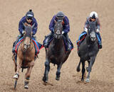 「【天皇賞・春・坂本が見た】双眼鏡を握る手にも力　連覇目指すヘデントールは僚馬に遅れも...長期休養明けを叩いて上昇ムード」の画像1