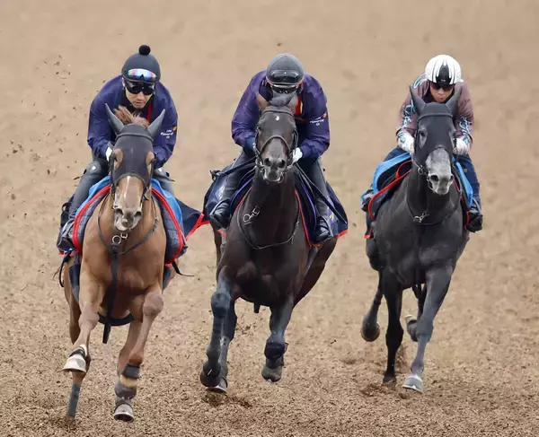 【天皇賞・春・坂本が見た】双眼鏡を握る手にも力　連覇目指すヘデントールは僚馬に遅れも...長期休養明けを叩いて上昇ムード