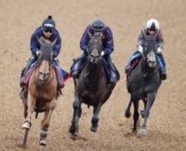 【天皇賞・春・坂本が見た】双眼鏡を握る手にも力　連覇目指すヘデントールは僚馬に遅れも...長期休養明けを叩いて上昇ムード