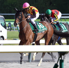 復活した桜花賞馬の走りにネット歓喜「トンネル長かった」「着差を見ると…」　ステレンボッシュがエプソムＣで２着に好走