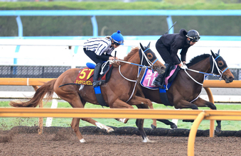 【注目馬動向】「３歳牝馬で斤量も軽い」オルフェーヴルの娘ジュウリョクピエロの凱旋門賞出走はオークスの内容次第
